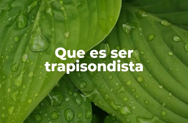 Que es Ser Trapisondista
