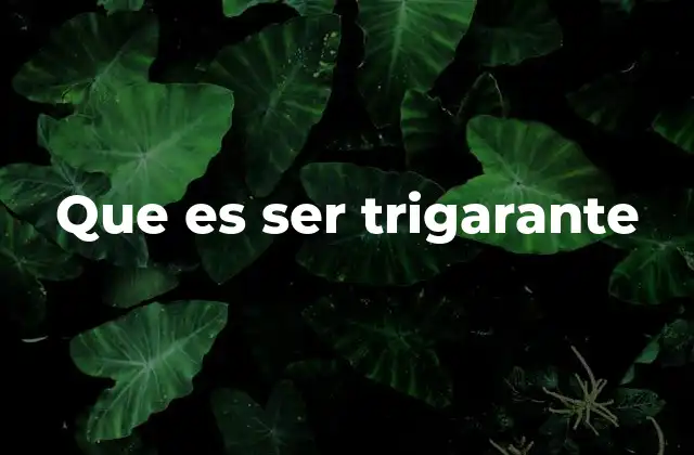 Que es Ser Trigarante