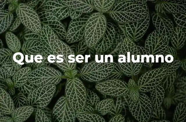 Que es Ser un Alumno
