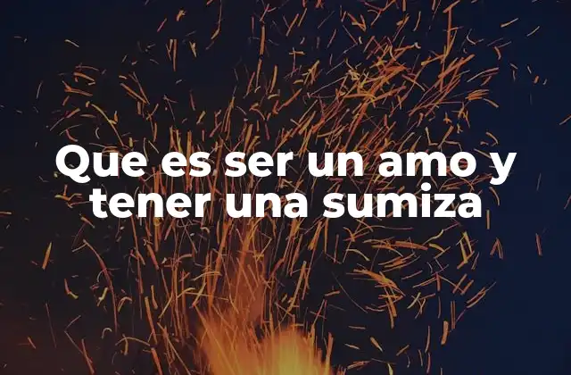 Que es Ser un Amo y Tener una Sumiza