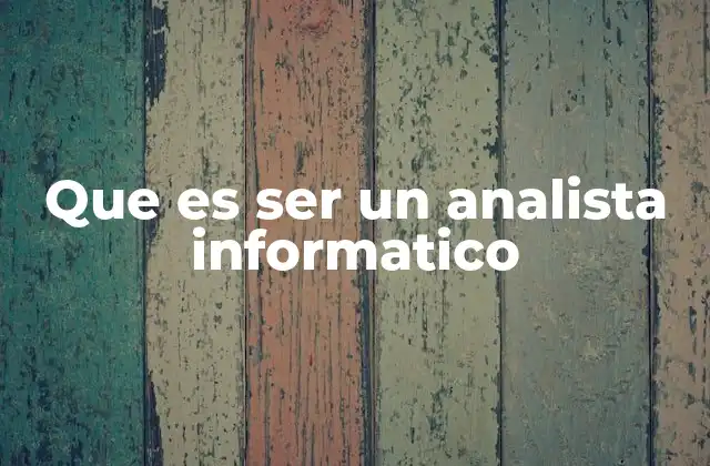 Que es Ser un Analista Informatico