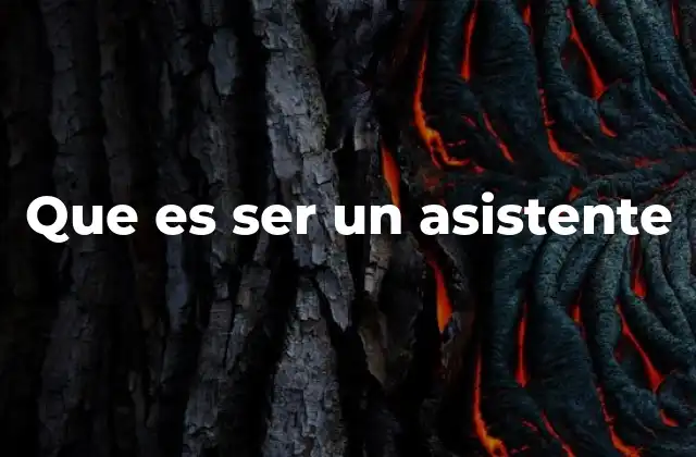 Que es Ser un Asistente