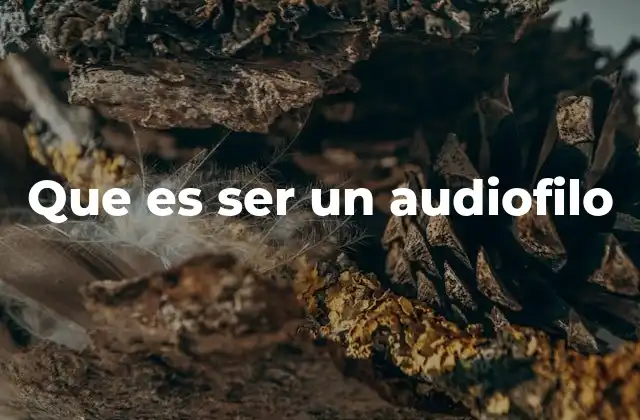 Que es Ser un Audiofilo