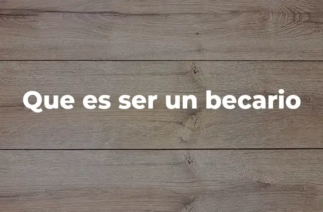 Que es Ser un Becario