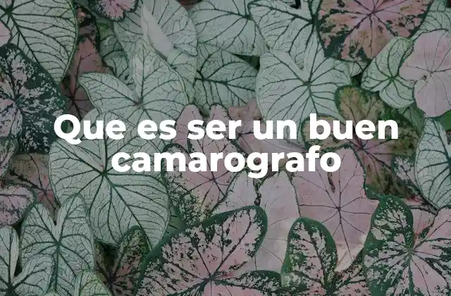 Que es Ser un Buen Camarografo