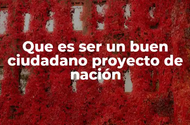 Que es Ser un Buen Ciudadano Proyecto de Nación