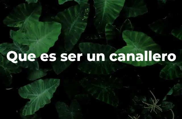 Que es Ser un Canallero