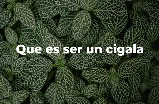 Que es Ser un Cigala