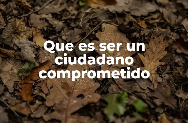 Que es Ser un Ciudadano Comprometido
