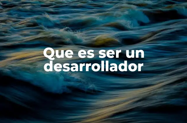Que es Ser un Desarrollador 2 Las habilidades esenciales de un profesional en tecnología