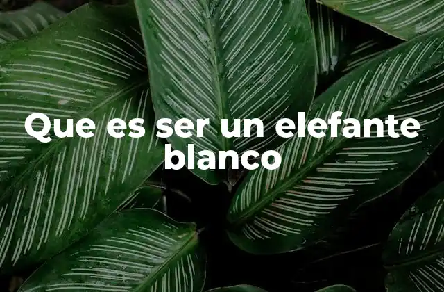 Que es Ser un Elefante Blanco