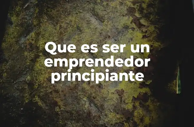 Que es Ser un Emprendedor Principiante