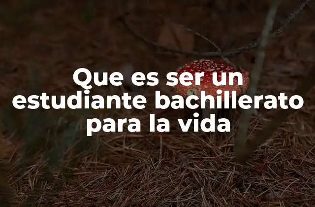 Que es Ser un Estudiante Bachillerato para la Vida