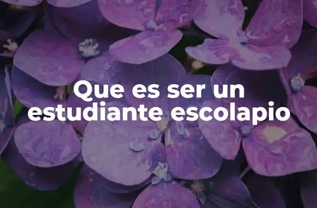 Que es Ser un Estudiante Escolapio