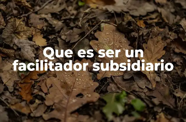 Que es Ser un Facilitador Subsidiario 2 El apoyo detrás del liderazgo en la facilitación