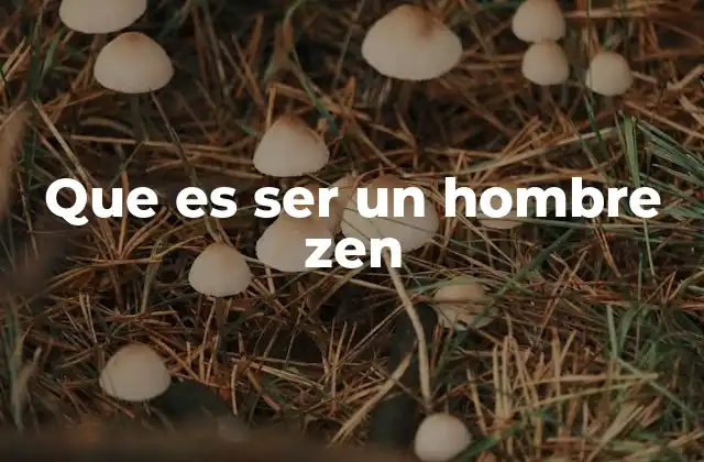 Que es Ser un Hombre Zen
