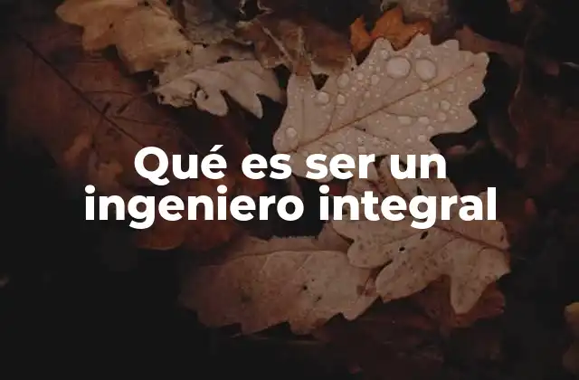 Qué es Ser un Ingeniero Integral