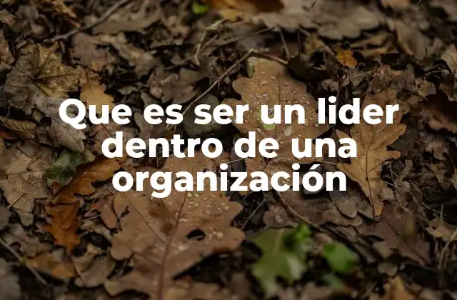 Que es Ser un Lider Dentro de una Organización
