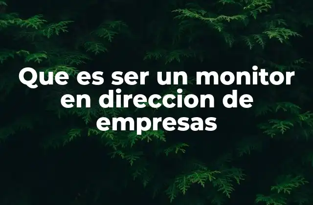 Que es Ser un Monitor en Direccion de Empresas
