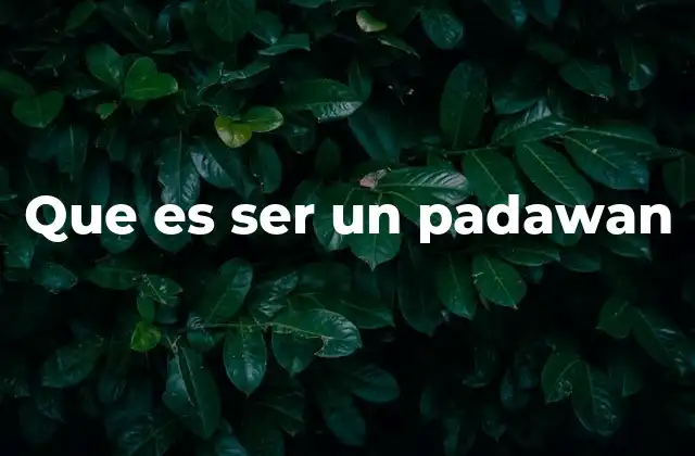 Que es Ser un Padawan
