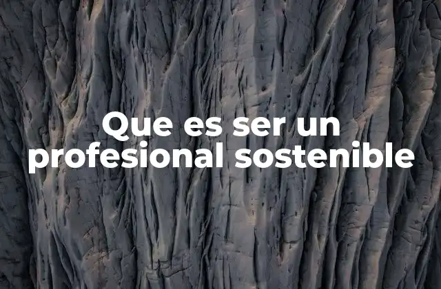 Que es Ser un Profesional Sostenible