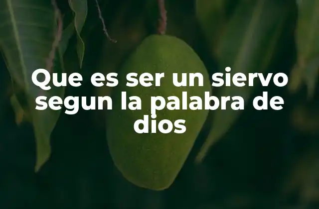 Que es Ser un Siervo Segun la Palabra de Dios