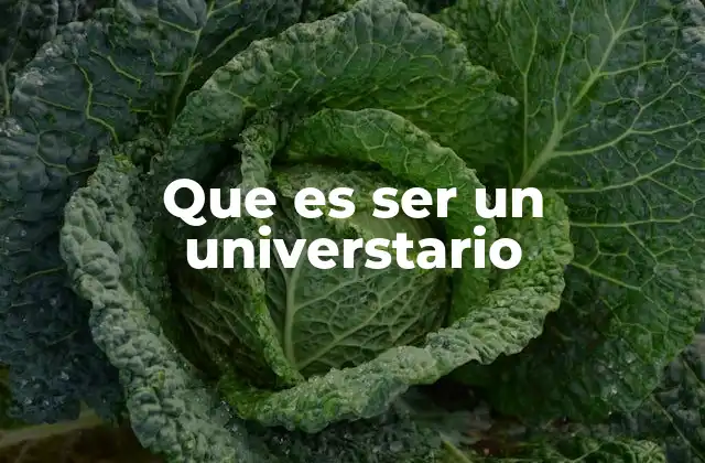 Que es Ser un Universtario