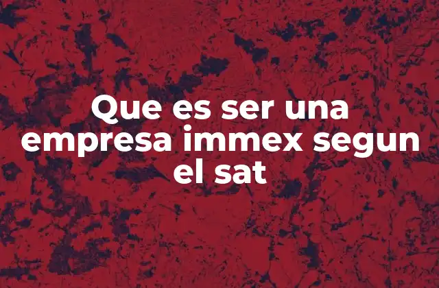 Que es Ser una Empresa Immex Segun el Sat