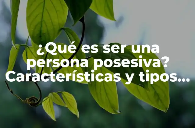 ¿qué es Ser una Persona Posesiva? Características y Tipos de Posesividad