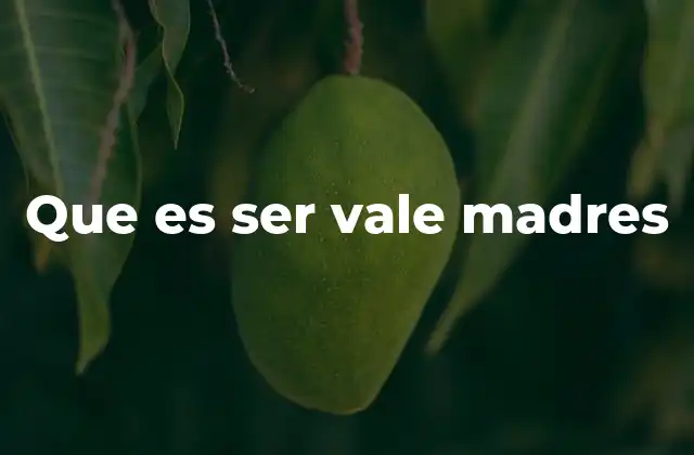 Que es Ser Vale Madres