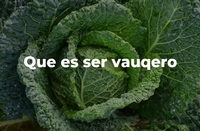 Que es Ser Vauqero