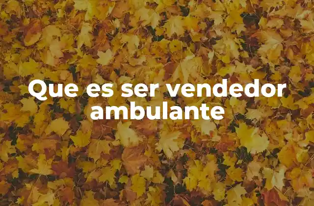 Que es Ser Vendedor Ambulante
