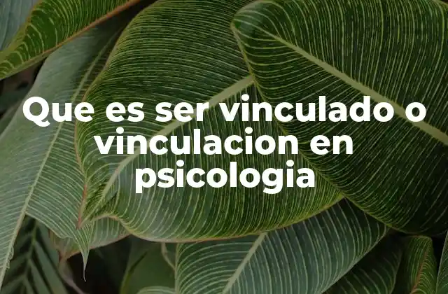 Que es Ser Vinculado o Vinculacion en Psicologia