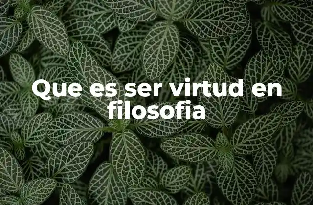 Que es Ser Virtud en Filosofia