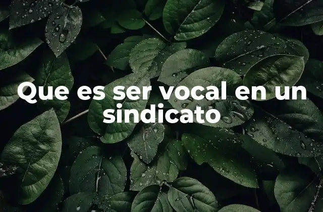 Que es Ser Vocal en un Sindicato
