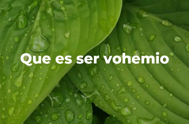 Que es Ser Vohemio