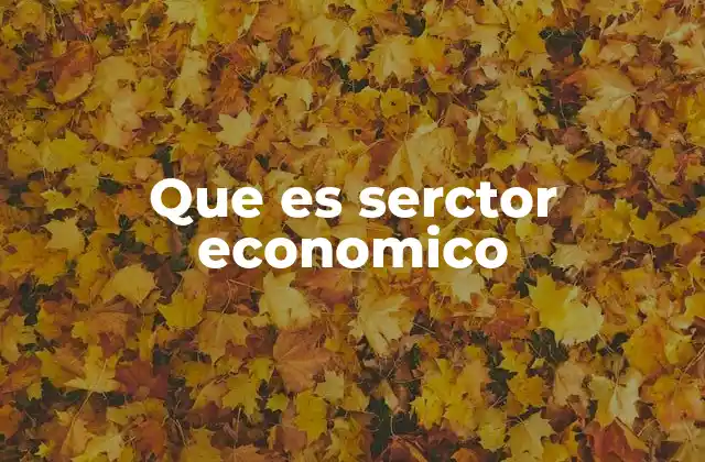 Que es Serctor Economico