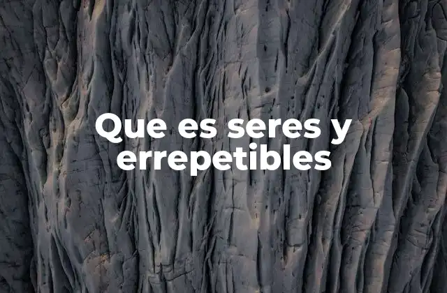 Que es Seres y Errepetibles