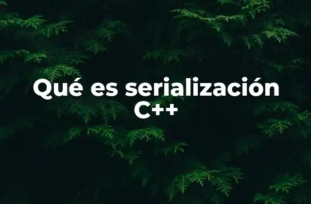Qué es Serialización C++