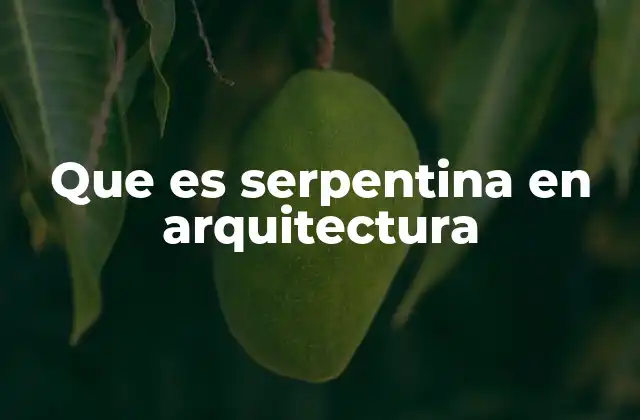 Que es Serpentina en Arquitectura