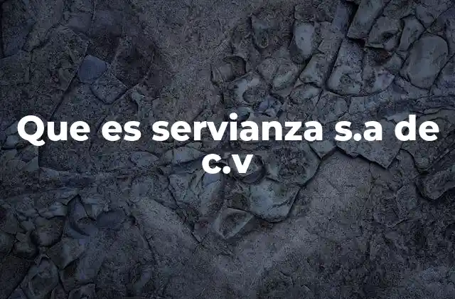 Que es Servianza S.a de C.v