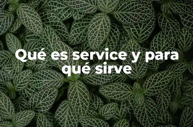 Qué es Service y para Qué Sirve