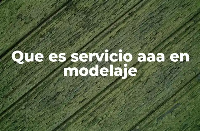 Que es Servicio Aaa en Modelaje