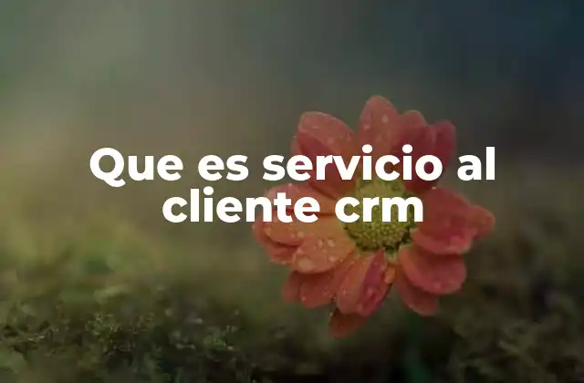 Que es Servicio Al Cliente Crm