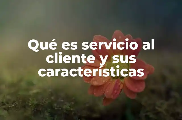 Qué es Servicio Al Cliente y Sus Características