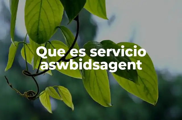 Que es Servicio Aswbidsagent