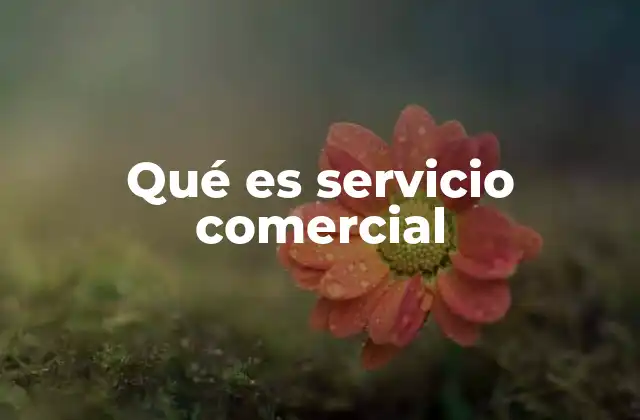 La importancia del servicio comercial en la experiencia del cliente