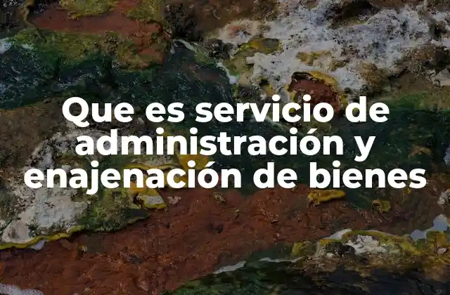 Que es Servicio de Administración y Enajenación de Bienes