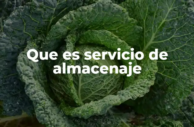 Que es Servicio de Almacenaje