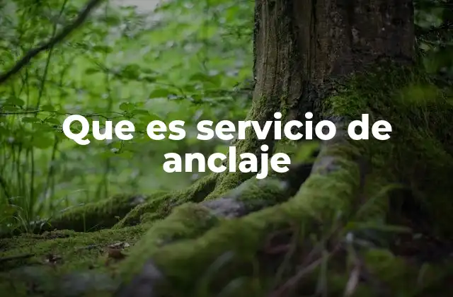 Que es Servicio de Anclaje 2 La importancia del anclaje en la navegación moderna